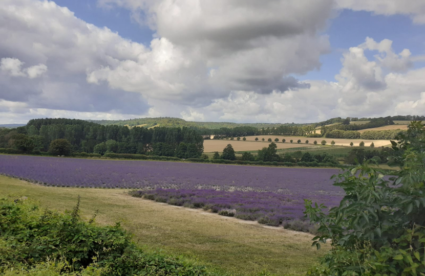 We must protect our countryside