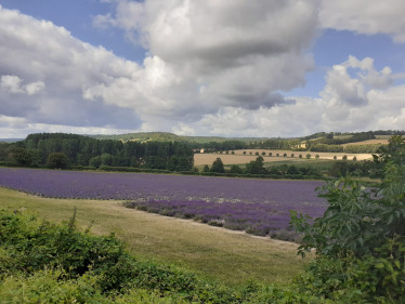 Castle Farm, Shoreham